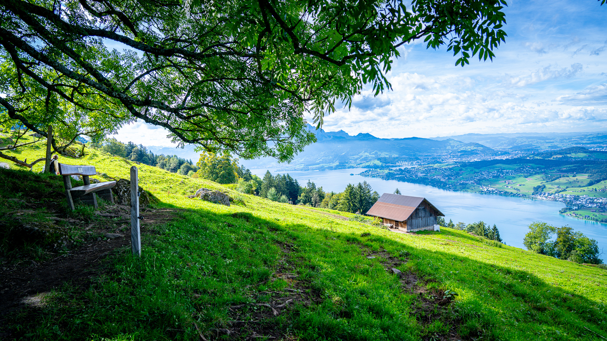 Bergpanorama Schweiz mit See