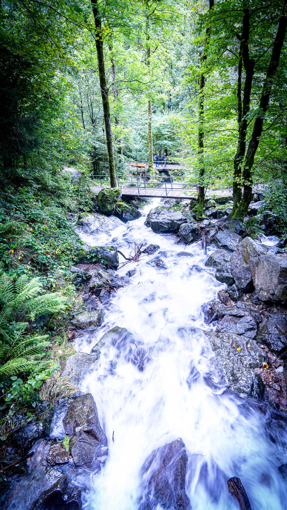 Wanderweg in Kroatien