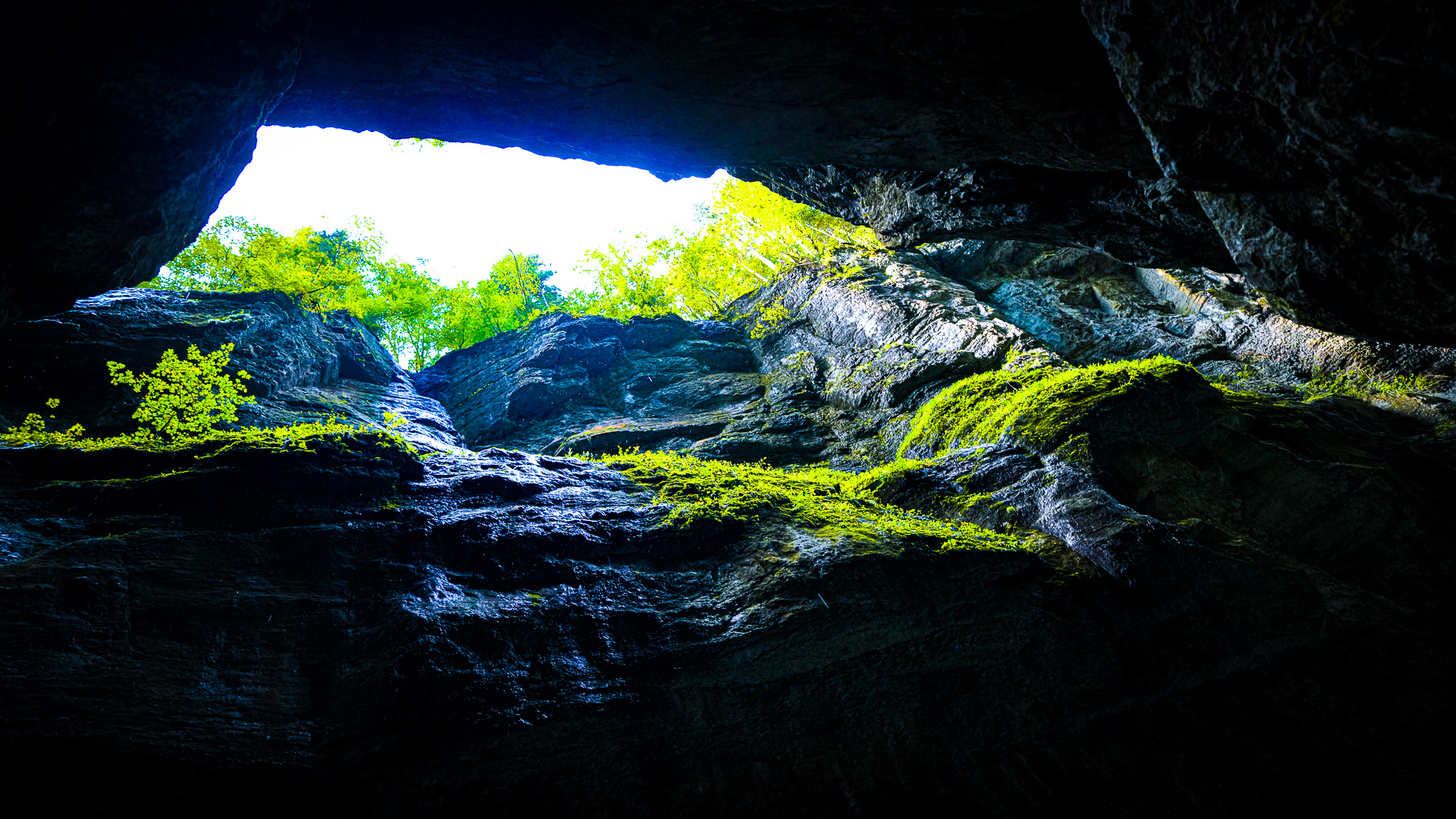Felsenhöhle mit Moos im Bergischen Land